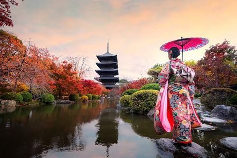 Japan Travel Guide 2026: Tokyo, Osaka, Kyoto, Costs, Transport and Things to Do