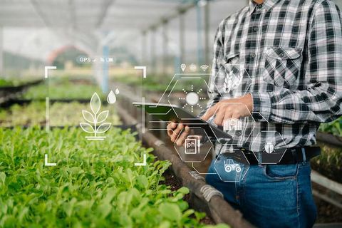 Smart Farming Details: Technologies, Equipment, Crop Monitoring, Irrigation and Field Management